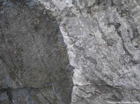 Détail de la photographie précédente montrant que le bord du filon magmatique principal apparait très blanc (recristallisation préférentielle de la calcite), Université de Montréal (Québec, Canada)