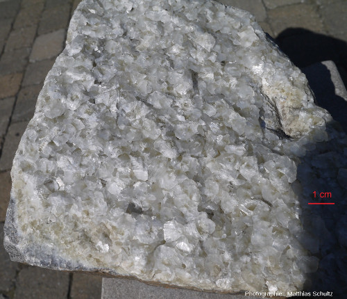 Surface d'un petit bloc de marbre exceptionnellement recristallisée (calcite très pure formant des cristaux centimétriques), Université de Montréal (Québec, Canada)