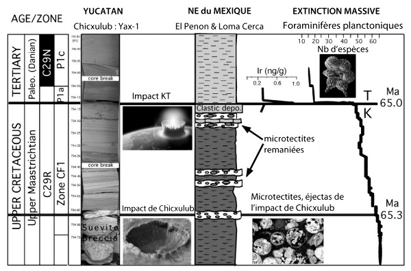 Proposition de datation par corrélation du pic d'iridium retrouvé à Chicxulub et au NE du Mexique