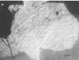 Structures lamellaires observées au microscope dans un quartz récolté dans le cratère météoritique de Manson (USA)