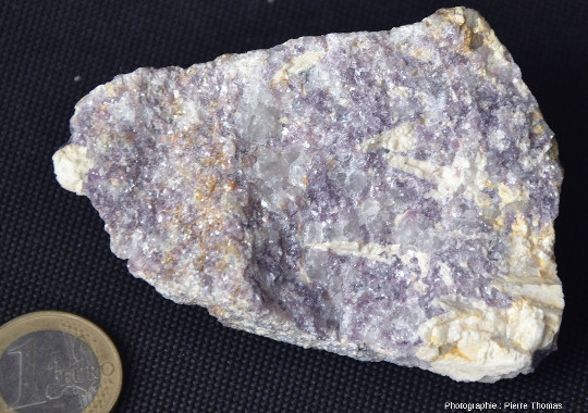 Échantillon de pegmatite à lépidolite (mica lithinifère mauve violacé) échantillonné dans une ancienne carrière près de Chédeville (Haute-Vienne)