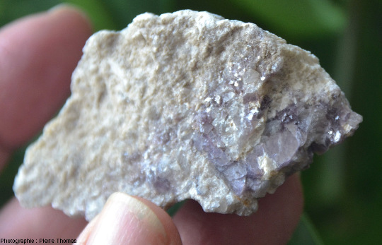 Échantillon de pegmatite à lépidolite (mica lithinifère mauve violacé) échantillonné dans une ancienne carrière près de Chédeville (Haute-Vienne)