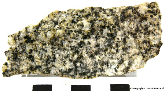 Granodiorite du Hohwald