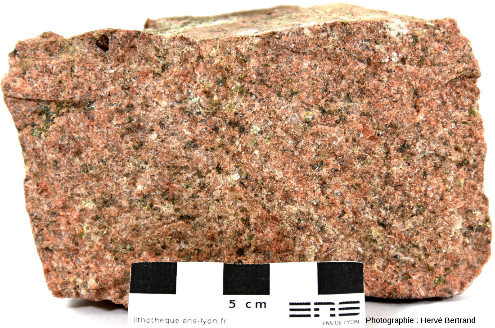 Granite de Fouday (granite “ancien”)