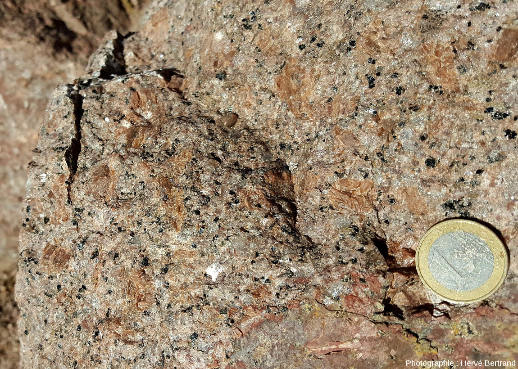 Granite porphyroïde de Natzwiller (granite “récent”), à gros cristaux d'orthose