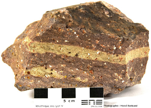 Rhyolite du Nideck, à phénocristaux de feldspaths (clairs) et de quartz (sombres)