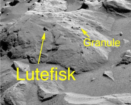 La surface de Lutefisk (25 cm de long), montrant les éléments détritiques résistants (granules) dégagés par l'érosion éolienne