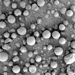 Gros plan sur une accumulation de "myrtilles" martiennes