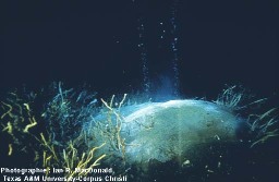Petit monticule de clathrates (avec léger dégazage) photographié par 4000 m de fond dans le Golfe du Mexique