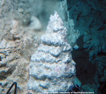 Source hydrothermale dégageant eau chaude (70°C), méthane et di-hydrogène, Lost City (océan Atlantique)