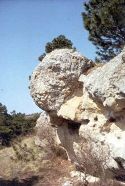 Stromatolithe oligocène de Limagne
