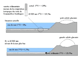 Variation du niveau de la mer et variation de la composition isotopique de l'eau de mer et des tests de foraminifères benthiques