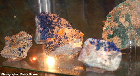 Une vitrine exposant des cristallisations d'azurite, Cu3[(OH)(CO3)]2, exposées dans le musée de la mine du Cap Garonne