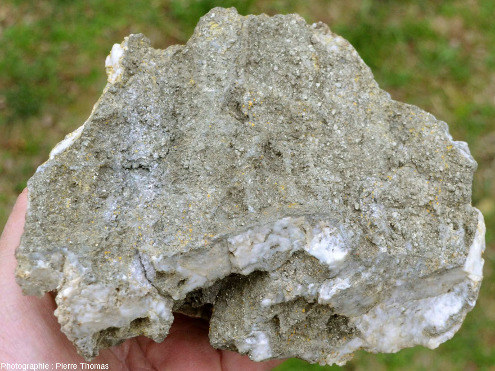 Échantillon ramassé en 1975 dans la carrière Saint Antoine montrant le litage d'origine hydrothermalo-sédimentaire et/ou tectonique, litage faisant alterner silice et sulfures