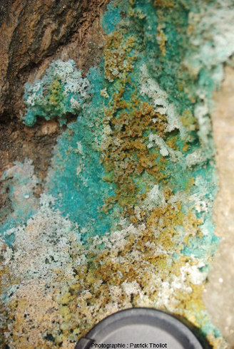 Encroutements de sels de cuivre (probablement des sulfates) ayant cristallisé dans des zones à l'abri de la pluie dans la carrière Saint Antoine