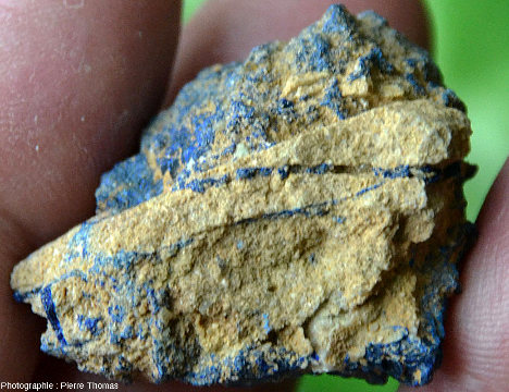 Échantillon ramassé en 1975 montrant un petit morceau de grès à ciment calcaire intact, caractéristique du Trias inférieur local
