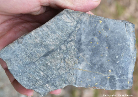 Échantillon provenant de la mine de Lauriéras montrant une partie d'un filon de quartz aurifère (à droite) à aspect bréchique recoupant un gneiss (à gauche)