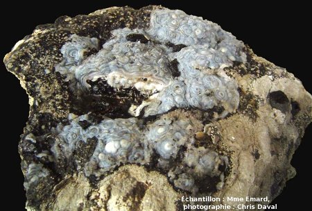 Encroûtements mamelonnés de lussatite sur calcaire bitumineux, Mine des Rois, Dallet