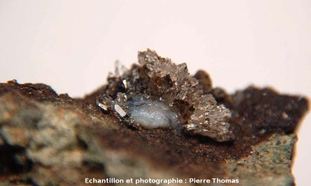 Demi-fleur, goutte de lussatite entourée de cristaux de quartz sur une demi- circonférence, Mine des Rois, Dallet