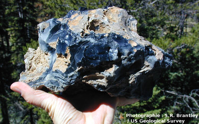 Échantillon d'Obsidian Cliff, Parc National de Yellowstone, Wyoming