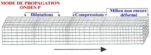 Propagation d'une onde P, de compression