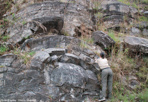 Exemple de marqueur morphologique prouvant l'existence d'une vie ancienne : des stromatolithes de belle taille (ici en Afrique du Sud) datant d'environ -3 Ga
