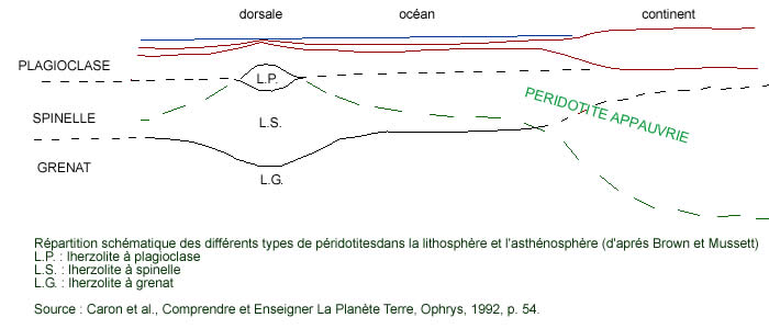 Domaines de stabilité des différentes péridotites