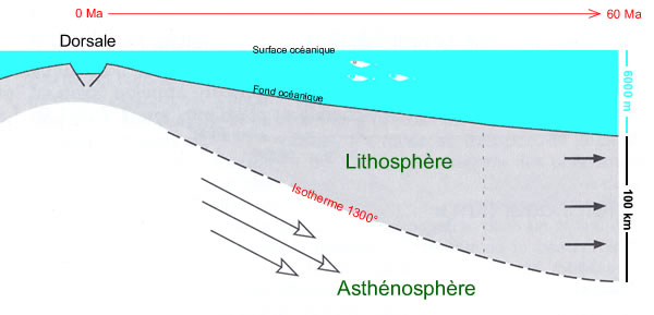 Variation d'épaisseur de la lithosphère océanique en fonction de son âge