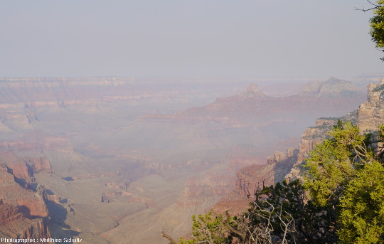Panorama en direction de la rive Sud du Grand Canyon pris depuis la rive Nord (secteur de Cape Royal)