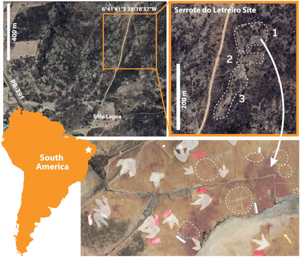 Localisation du site de Serrote do Letreiro au Brésil, et vue d'un des affleurements à empreintes de dinosaures (renforcées de blanc) et pétroglyphes (entourés de pointillés)