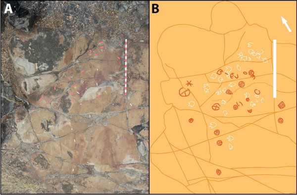 Photographie aérienne (à gauche) d'un des affleurements à empreintes de dinosaures et pétroglyphes, et dessin d'interprétation (à droite) avec les empreintes de théropodes soulignées en blanc et les pétroglyphes en orange