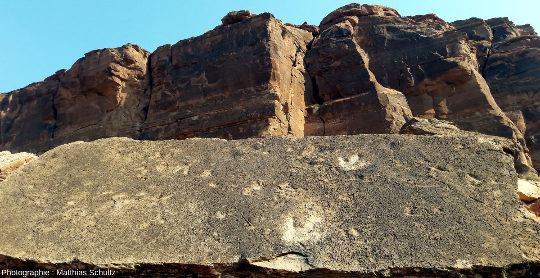 Empreintes tridactyles de dinosaures sur la surface de stratification de grès Navajo, plateau du Colorado (Étas-Unis d'Amérique)