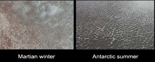Comparaison des sols polygonaux terrestres et martiens (polygones de quelques mètres de coté)