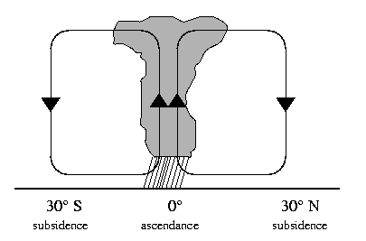 Ascendance, convection, précipitation, circulation de Hadley