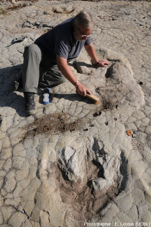 Dégagement d'une piste à empreintes tridactyle lors des fouilles du site de Loulle (Jura)