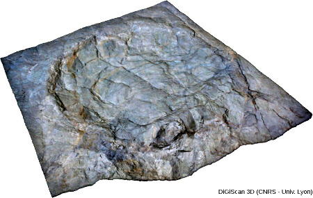 Résultat d'une numérisation 3D d'empreinte de Sauropode de la campagne de fouille du site de Loulle (Jura)