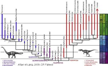 Relations phylogénétiques actuellement soutenues parmi les Saurischiens, sur la base d'analyses cladistiques récentes