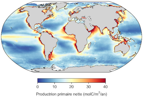 Production primaire nette annuelle océanique (moyenne 2002-2024)