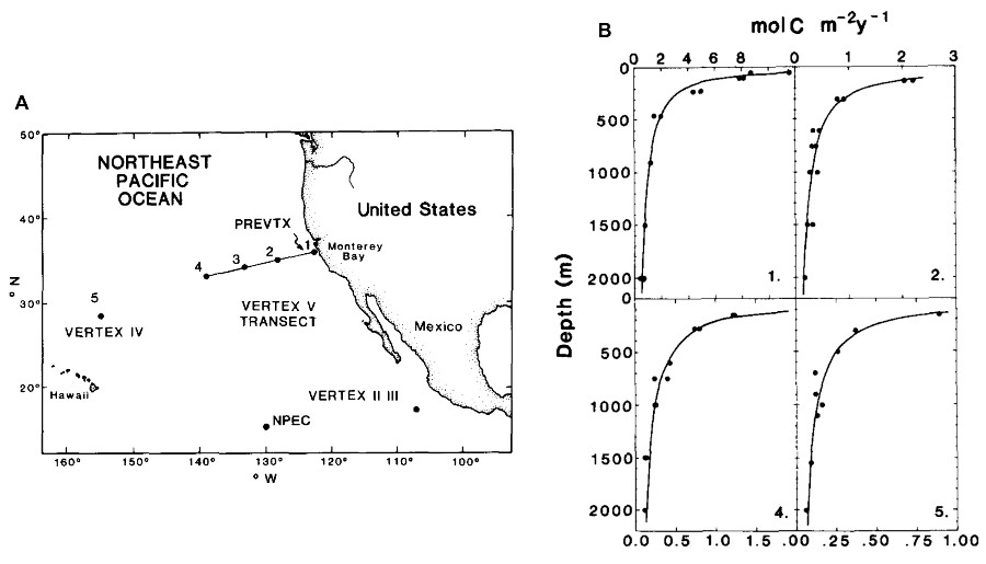 Premiers déploiements massifs de pièges à particules et atténuation du flux de POC avec la profondeur