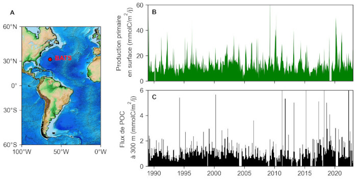 Mesure de la production primaire et de l'export de carbone organique particulaire (POC) dans l'océan Atlantique subtropical