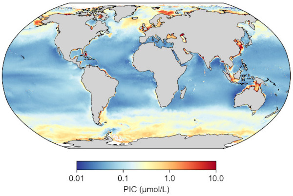 Concentration en carbone inorganique particulaire (PIC) dans l'océan de surface observé par satellite (moyenne 2002-2024)