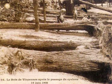 Le bois de Vincennes après la tempête du 16 juin 1908