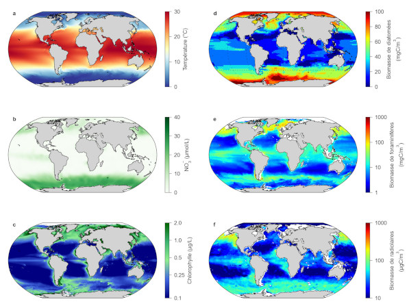 Conditions environnementales et abondances modélisées de plancton