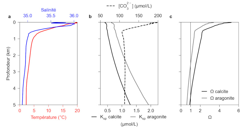 Profils verticaux des paramètres déterminant la solubilité des carbonates dans l'Atlantique Sud