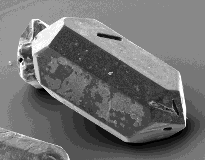 Observation au microscope électronique d'un zircon