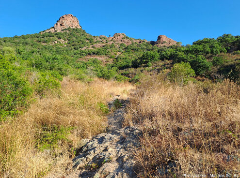 Vue du rocher de Roquebrune (Var) depuis son pied Sud (lieudit des Pétignons)