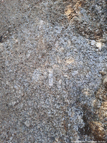 Détail du granite clair au Sud du rocher de Roquebrune (Var)