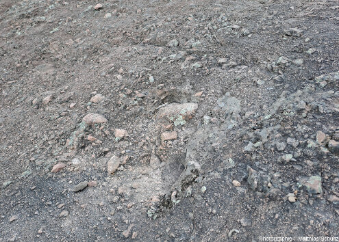 Détail des pentes Sud du rocher de Roquebrune (Var)