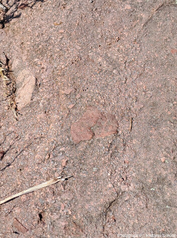 Détail des pentes Nord du rocher de Roquebrune (Var)