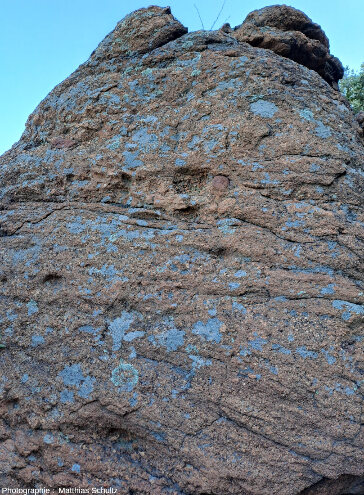 Vue rapprochée des grès silicifiés du niveau sommital de la formation de la Serre, sur les pentes Nord du rocher de Roquebrune (Var)